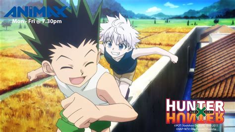 Fond Décran Hunter X Hunter Gon Et Kirua Hd Wallpaper Anime Hunter X