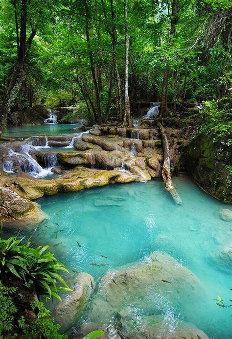 Thailand | Erawan national park, Places to travel, Beautiful places