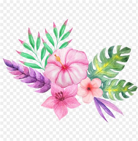 Tropical Watercolor Png Watercolor Tropical Flower PNG Image With