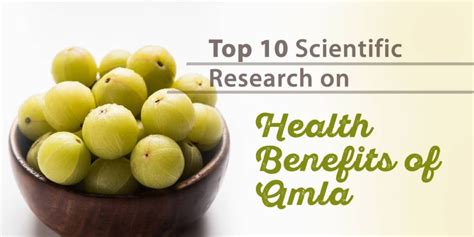 amla 10 proven health benefits dr brahmanand nayak