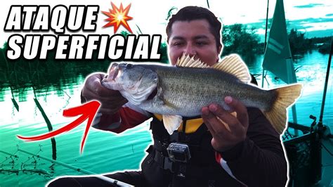 Pesca De Lobina En La Superficie Youtube