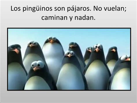 Ppt Los Pingüinos Son Pájaros No Vuelan Caminan Y Nadan Powerpoint