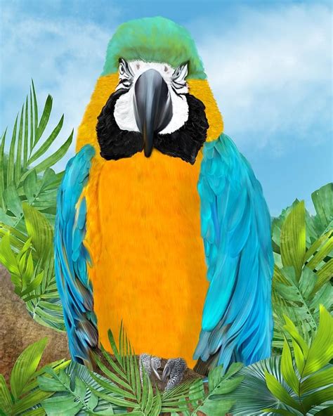 Tropical Parrot Painting By Mark Taylor Parrot Painting Tropical