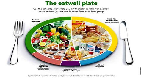 The Eatwell Guide Food Groups AriaATR Com