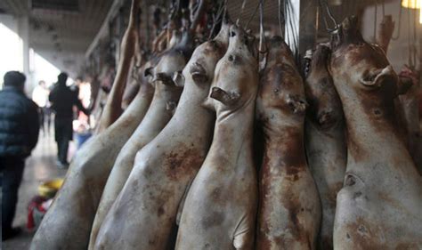 Sick Images Show Dogs Slaughtered For Sick Winter Solstice Meals