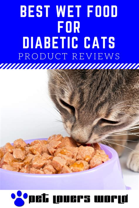 Food For Diabetic Cat To Gain Weight Cat Meme Stock Pictures And Photos