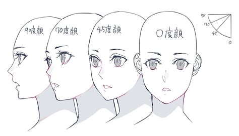 Head Angle Reference Drawings Drawing Heads Drawing