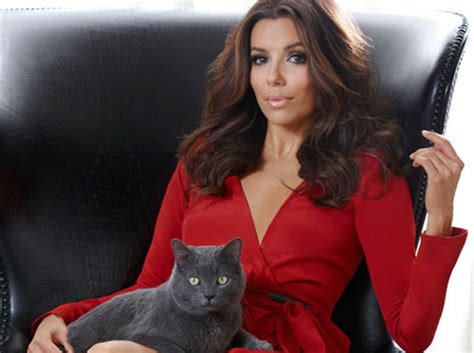 Sheba says you'll do anything for your pet and your pet will do anything for sheba wet food. Sheba Signed Eva Longoria to Promote Premium Cat Food — POPSOP