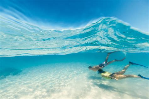 Great Barrier Reef Snorkelling Tips