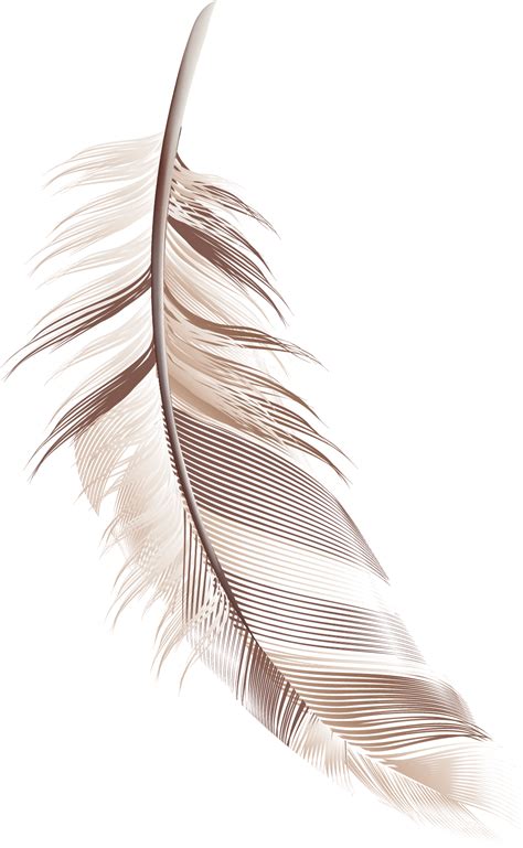 Feather Cartoon Feather Material Png Download 9921610 Free