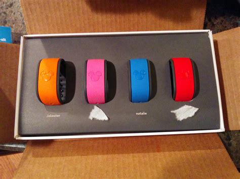 Our Magicbands 2014
