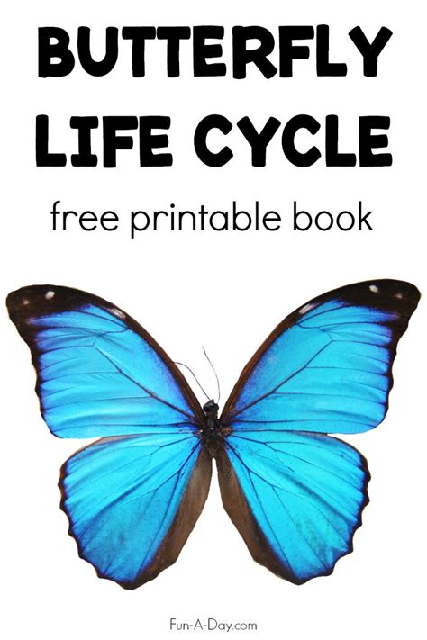 Free Printable Butterfly Books Printable Templates