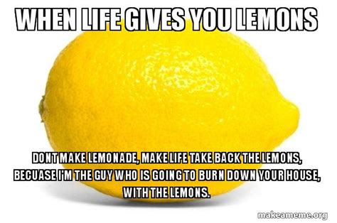 When Life Gives You Lemons Dont Make Lemonade Make Life Take Back The