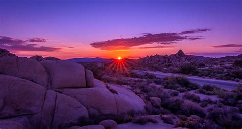 Joshua Tree National Park Sunrise Jesse Thorpe Flickr