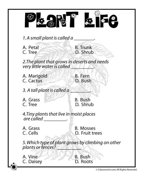 How Do Plants Grow Plant Life Worksheets For Kids