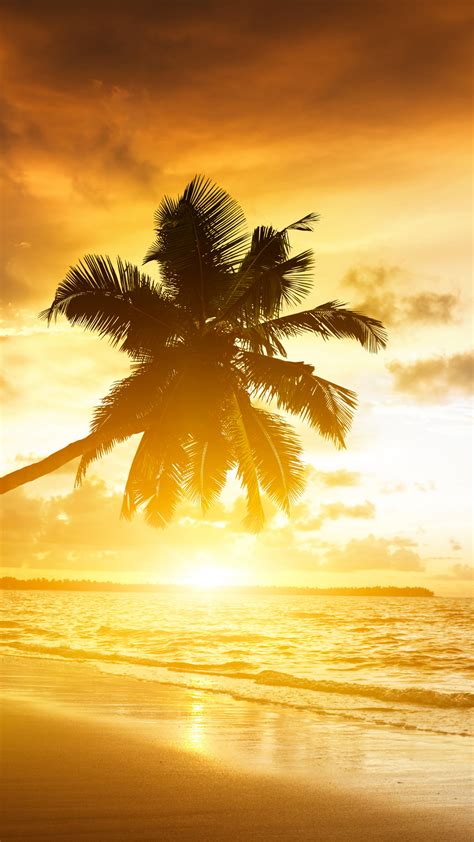 Summer Sunset Wallpaper For Iphone 11 Pro Max X 8 7 6 Free