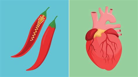 Chili Peppers May Help Prevent Deadly Heart Attack And Stroke Study