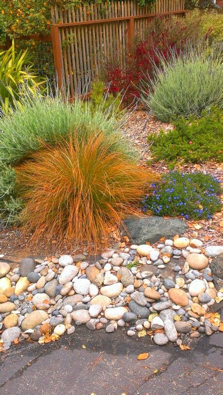 Ornamental Grasses With Rock Border Landscaping With Rocks