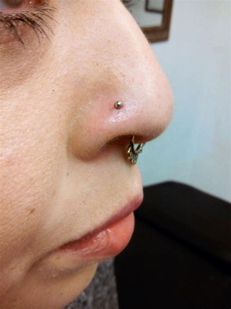 Nostril And Septum Piercings By Joe Septum Piercing Piercings Nose Ring