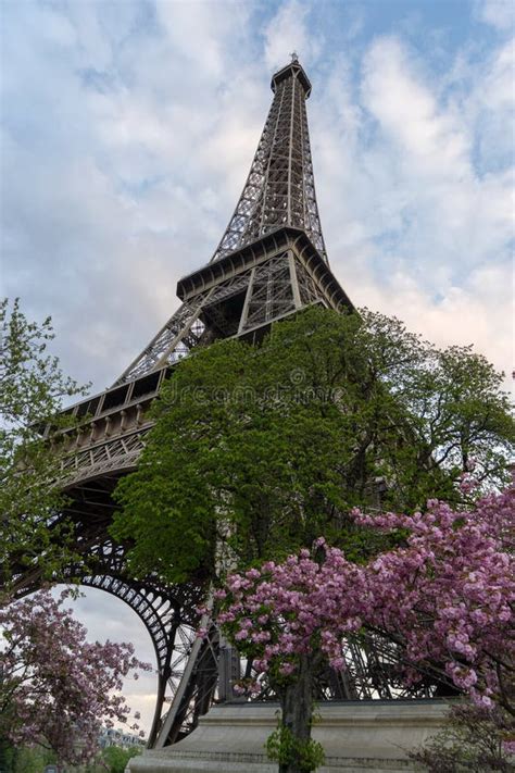 The Eiffel Tower With Trees In Bloom Stock Image Image Of Landmark