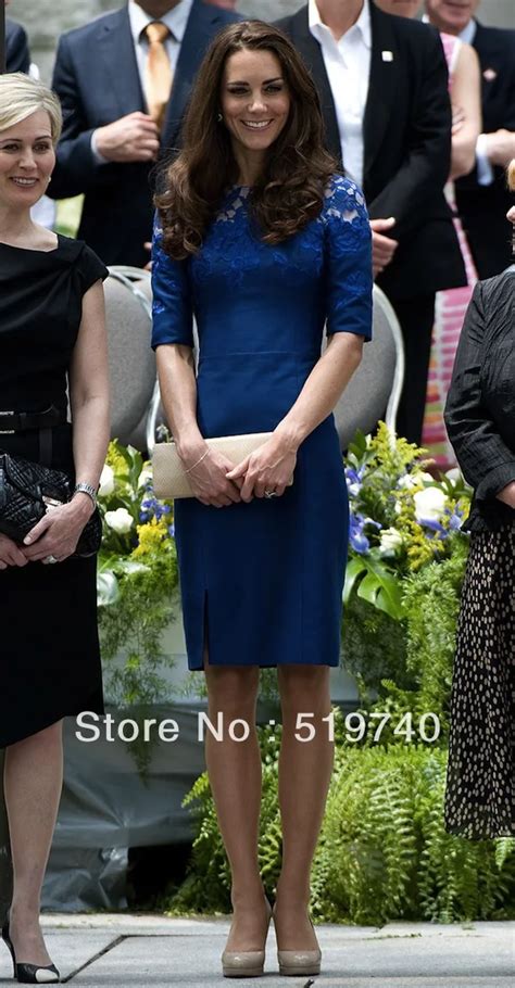 Elegant Cambridge Kate Middleton In Erdem Navy Lace Dress Red Carpet