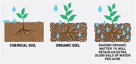 How The Addition Of Organic Matter To Soil Increases The Specific