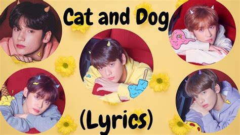 Cat And Dog Lyrics Txt Tomorrow By Together Youtube