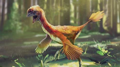 Druhý Stupeň Veľa Príjem Dino Bird Výstavba Aja Frank Worthley