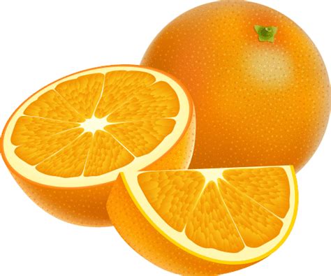 Fresh Citrus Orange 素材 Canva可画