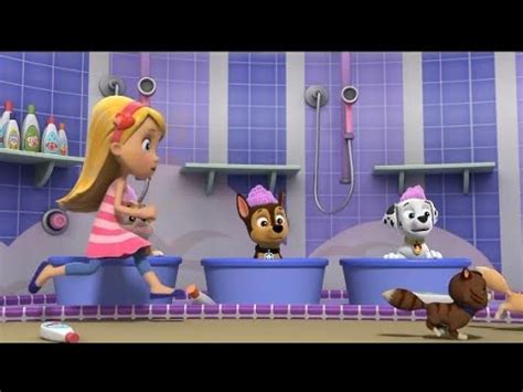 Paw Patrol Pups Save Katie And Kitties The Kcc Caused Chaos In The