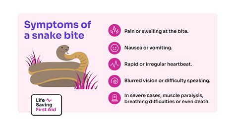 Symptoms Snake Bite Life Saving First Aid