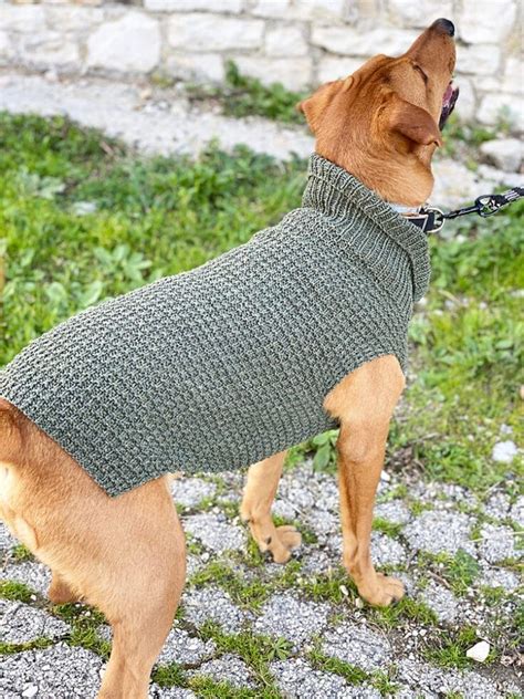 This Dog Sweater Knitting Pattern Is Knit Flat In One Piece On