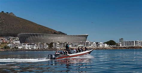 Cape Town Croisière Marine Guidée Avec La Faune Marine Et Cape Point