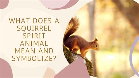What Does A Squirrel Spirit Animal Mean And Symbolize Youtube