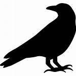 Raven Svg Icon Crow Silhouette Vector Icons