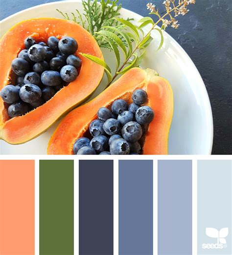Fresh Hues Food Colors Palette Design Seeds Seeds Color