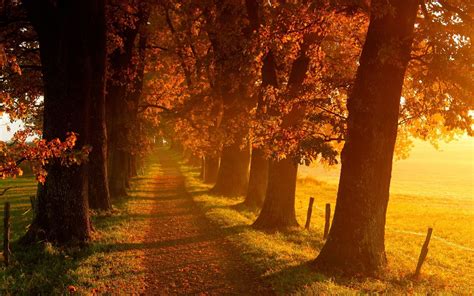 2048x1280 Fall Theme Background Images Autumn Scenery Autumn