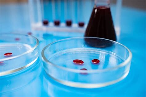 Blood Samples And Pipette On Petri Dishes Blood Test Stock Image