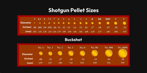 Guide To Shotgun Pellet Sizes Shotgun Shot Size Chart My Xxx Hot Girl