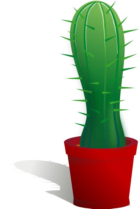 Clipart - cactus png image
