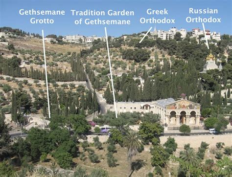 Jerusalem Garden Of Gethsemane