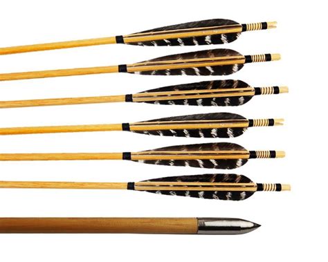 Huntingdoor 12 Pcs Turkey Feather Fletching Wooden Arrows Archery