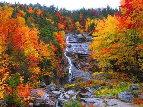 10 States To See Stunning Fall Colors In 2020 White Mountain National