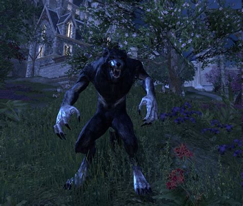 Werewolves Could Use Some Love With The Wolfhunter Dungeon Pack — Elder