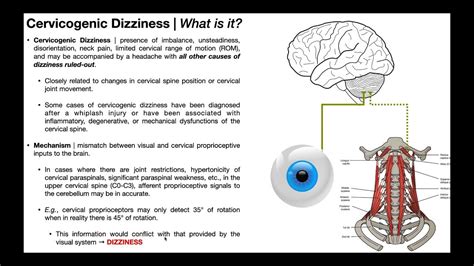 Cervicogenic Dizziness What Is It Mechanism And Diagnosis Youtube