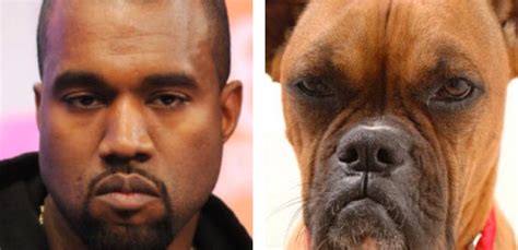 Twitter Account Matches People To Their Dog Look Alikes