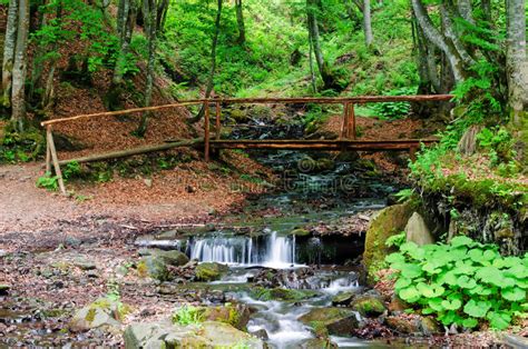 A Small Wooden Bridge Over A Mountain River Stock Image Image Of Wood
