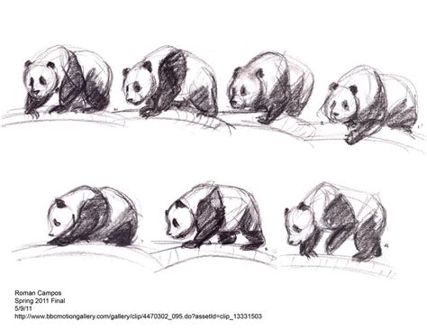Panda Motion Study By Mell0w M1nded On Deviantart