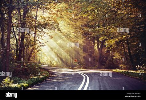 Great Shoot Of Sunbeams Above The Road In The Forest Stock Photo Alamy