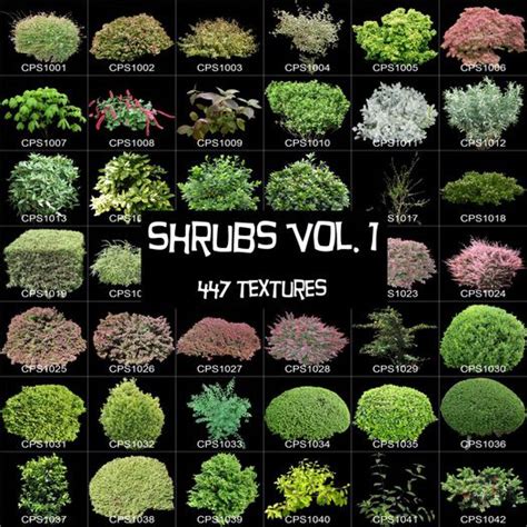 Various Selection Of Shrubs Front Garden Landscape Small Backyard